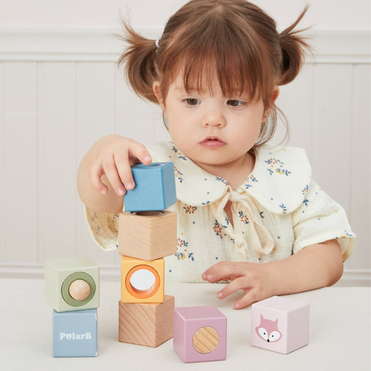 PolarB houten sensorische blokken