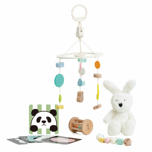 CLASSIC WORLD welcome box newborn voor 0-6 maanden