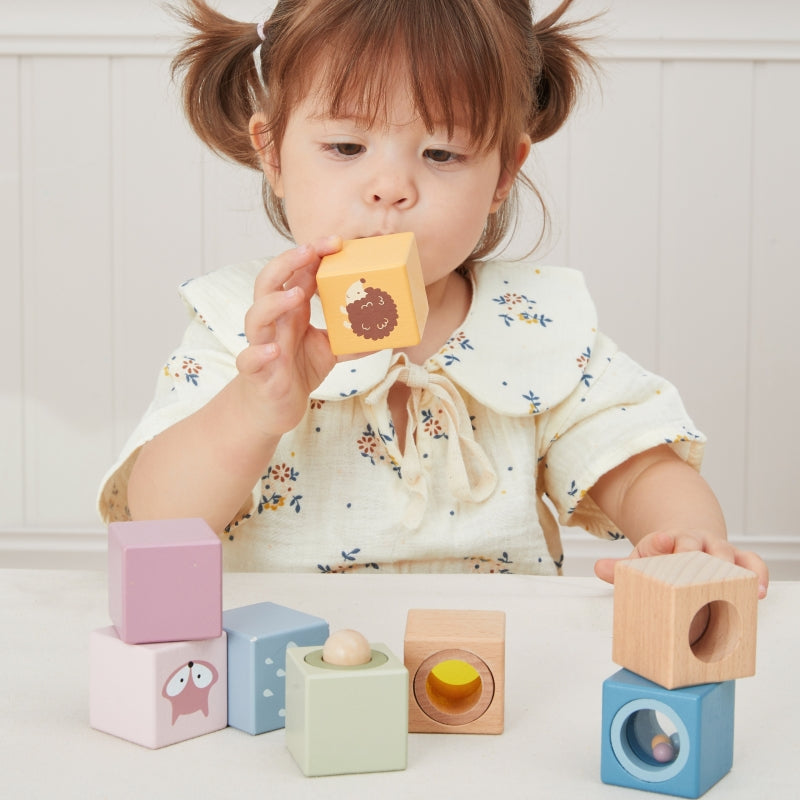 PolarB houten sensorische blokken