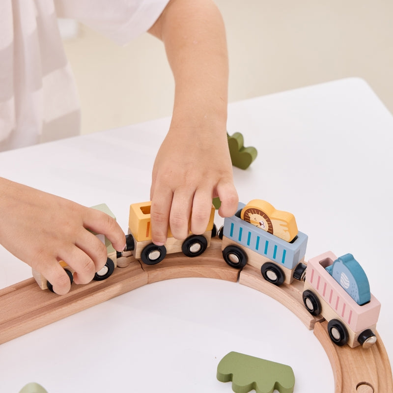 PolarB houten treinset 30 stuks